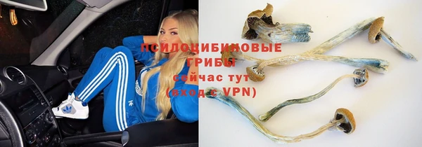 кокаин колумбия Вязьма