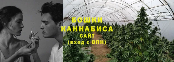 метадон Вяземский