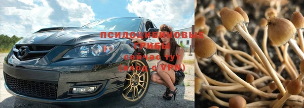 jwh Горно-Алтайск