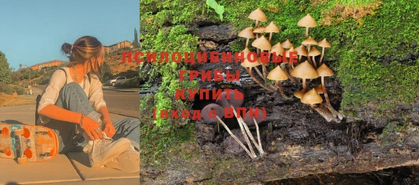 метадон Вяземский