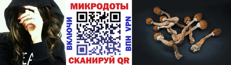 Псилоцибиновые грибы MAGIC MUSHROOMS  OMG   Зима 